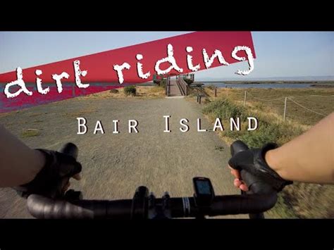 Bike Trail Bair Island Wildlife
